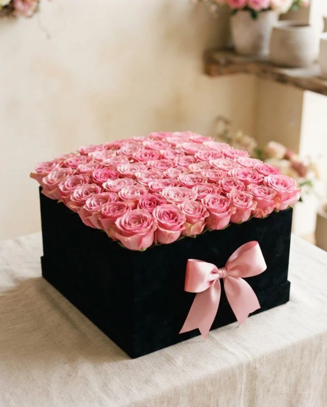 Box Carmesim Rosa