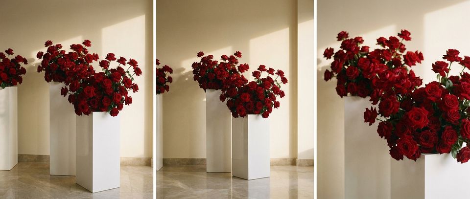 Showroom da Amélias Flores